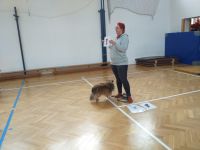 fotografie z alba Radost z pohlazení, akce s pejskem (MŠ, 2024)