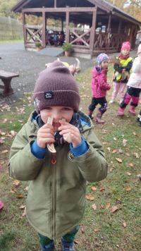 fotografie z alba MŠ 25/26  Na exkurzi v oboře